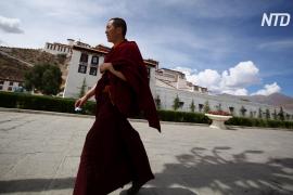 Тибетцы в изгнании приветствуют американский законопроект, признающий независимость Тибета