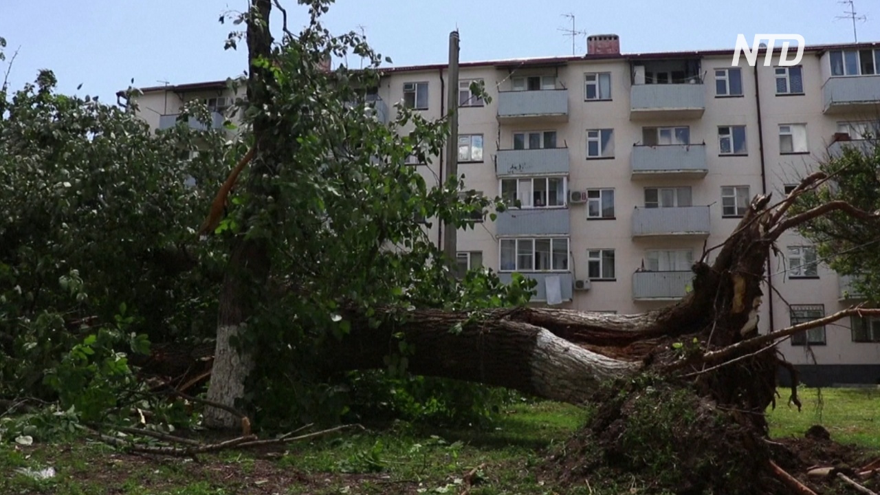 В Грозном устраняют последствия урагана