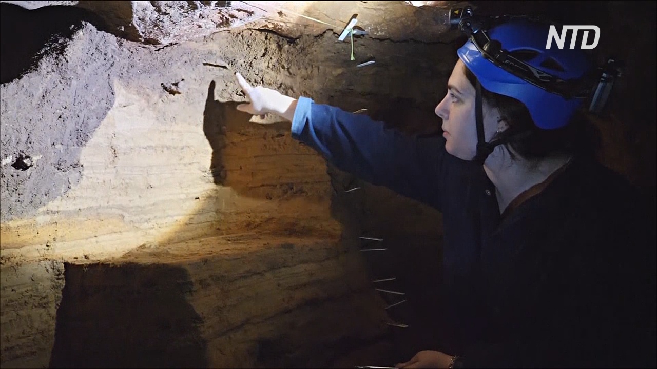 Пещеры Австралии исследуют в надежде изучить вымершую мегафауну