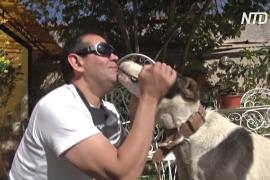 Бывший маркетолог кормит бездомных собак в Ла-Пасе во время карантина
