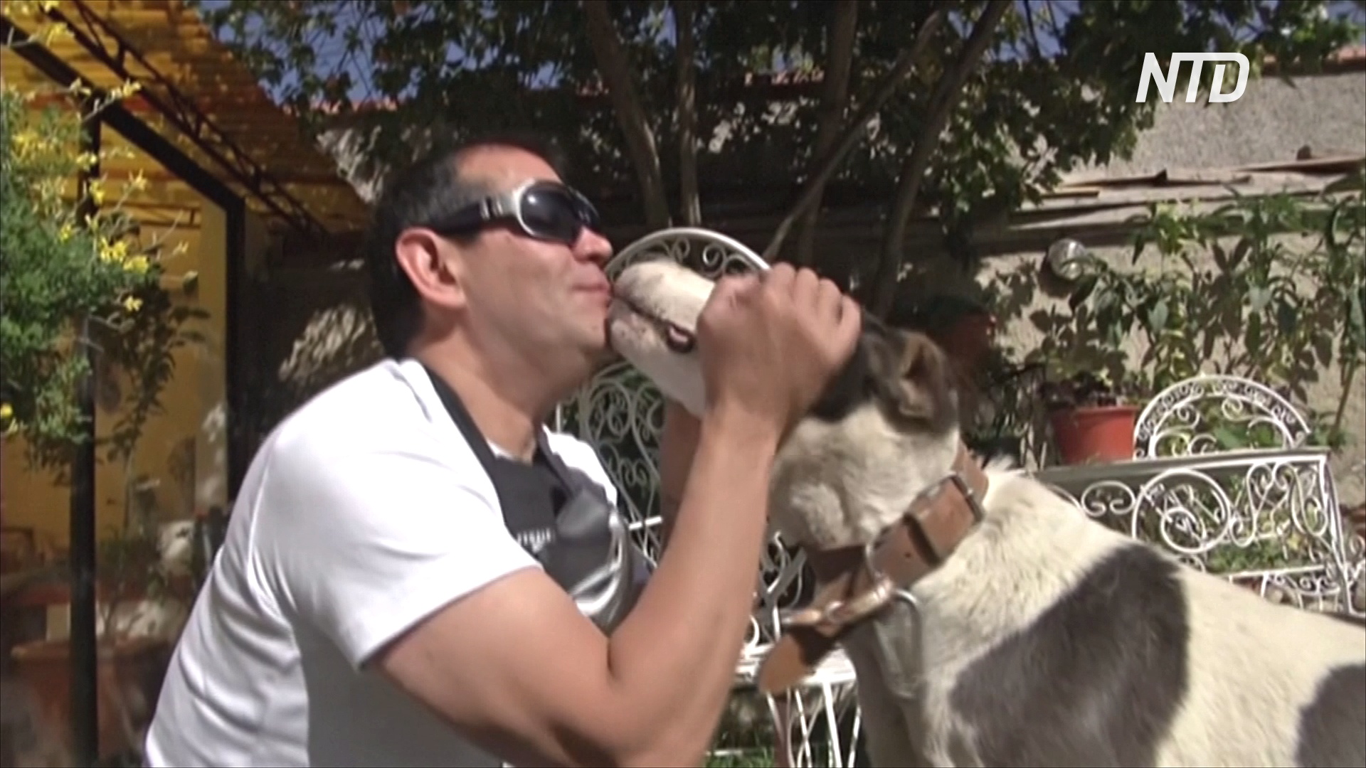 Бывший маркетолог кормит бездомных собак в Ла-Пасе во время карантина