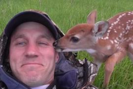 Мужчине пришлось взять оленёнка домой, чтобы спасти ему жизнь