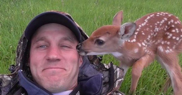 Мужчине пришлось взять оленёнка домой, чтобы спасти ему жизнь