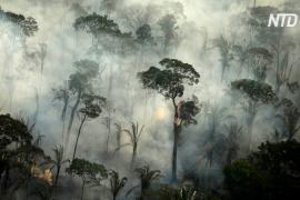 В Бразилии снова горят леса Амазонии