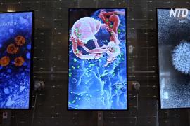 Выставка о пандемии открылась в Музее Нобеля