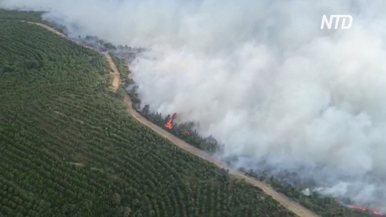 Полуострову Галлиполи в Турции угрожает масштабный лесной пожар