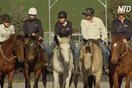 Лошади-терапевты помогают военным справиться с посттравматическим стрессовым расстройством