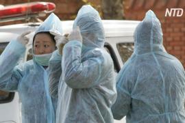 ВОЗ следит за вспышкой бубонной чумы во Внутренней Монголии