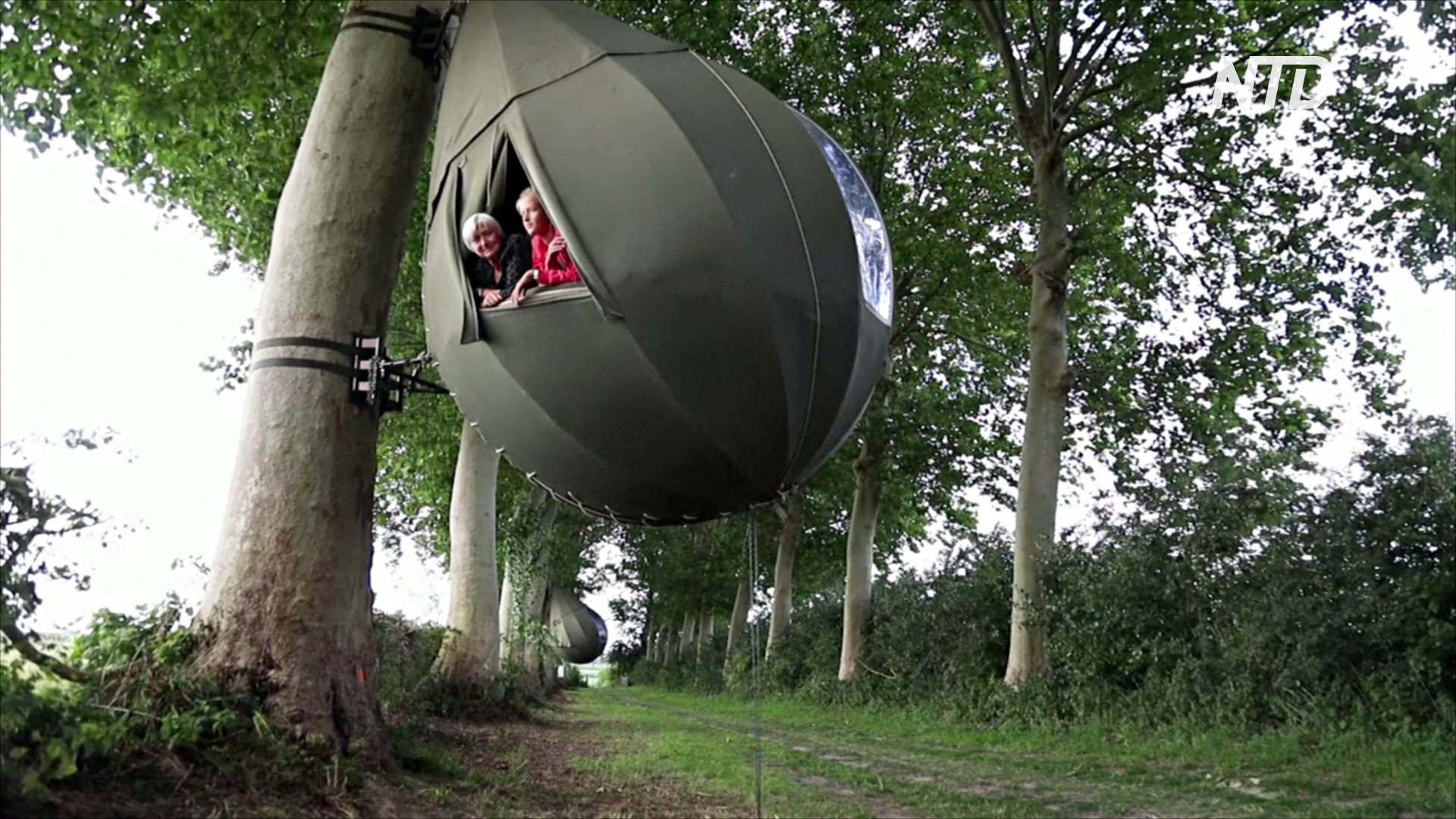 Сон на дереве: в Бельгии становится популярным отдых в коконах