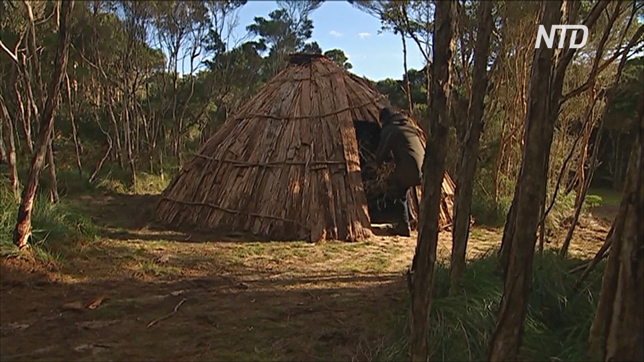 Традиционные жилища аборигенов возводят на острове Тасмания
