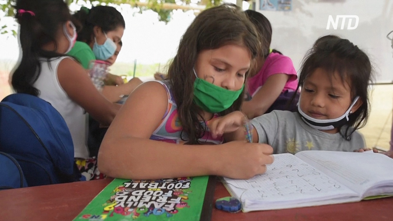 Школа под деревом: подросток обучает эквадорских детей во время карантина