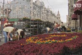 Летняя выставка цветов украсила Красную площадь в Москве