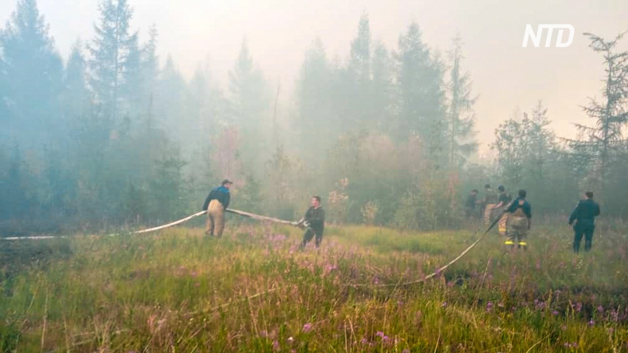 В Ханты-Мансийском АО растёт площадь лесных пожаров
