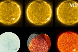 «Солнечные костры» и «обратная сторона» звезды: Solar Orbiter прислал первые снимки