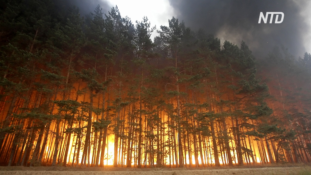 На Урале и в Сибири тушат лесные пожары