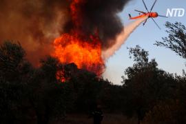 В Греции лесной пожар угрожает жилым домам