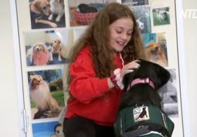 Собаки помогают австралийским детям вернуться к учёбе после карантина