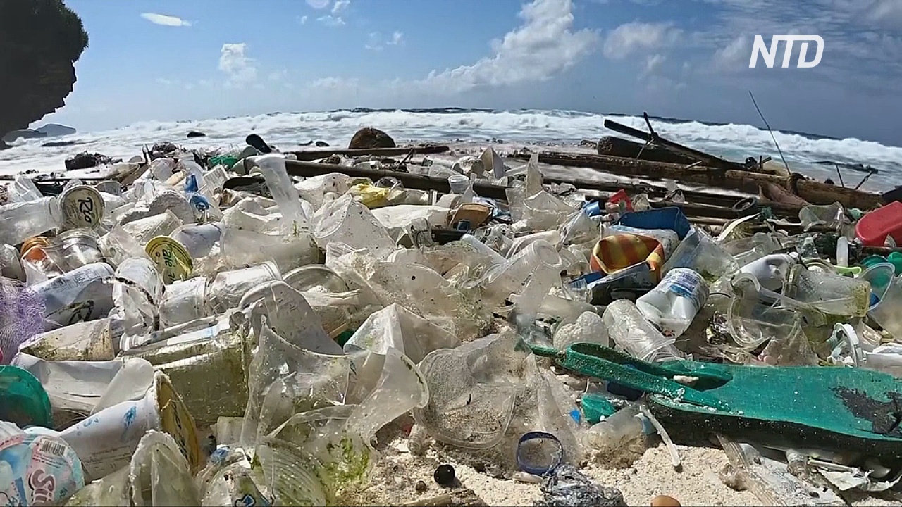 К 2040 году пластика в океанах может стать в три раза больше
