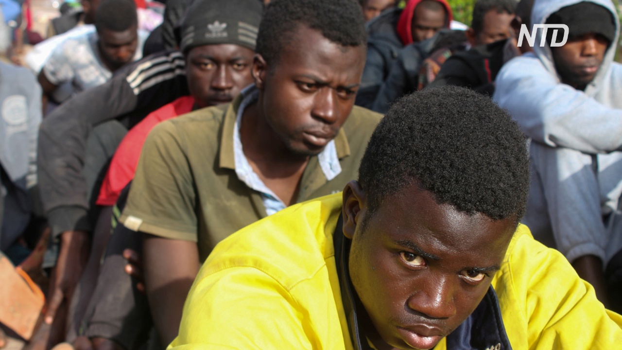 ООН: за половину случаев насилия над мигрантами ответственны правоохранители