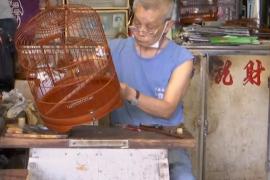 Бамбуковые клетки для птиц: мастерам в Гонконге некому передавать знания