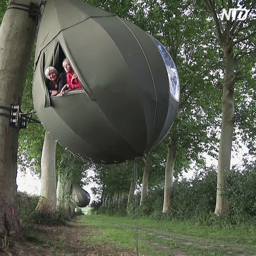Поспать на дереве: в Бельгии из-за эпидемии отдыхают в коконах
