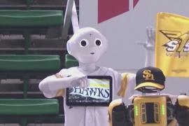В Японии бейсбольных болельщиков заменили танцующими роботами