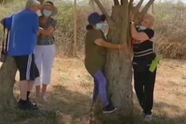В Израиле вместо родных советуют обнимать деревья