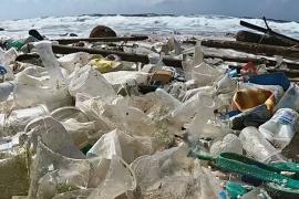 Объёмы пластика в океанах могут утроиться уже к 2040 году