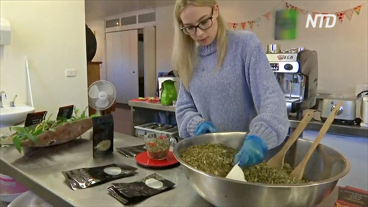 17-летняя австралийка основала компанию по производству травяных чаёв