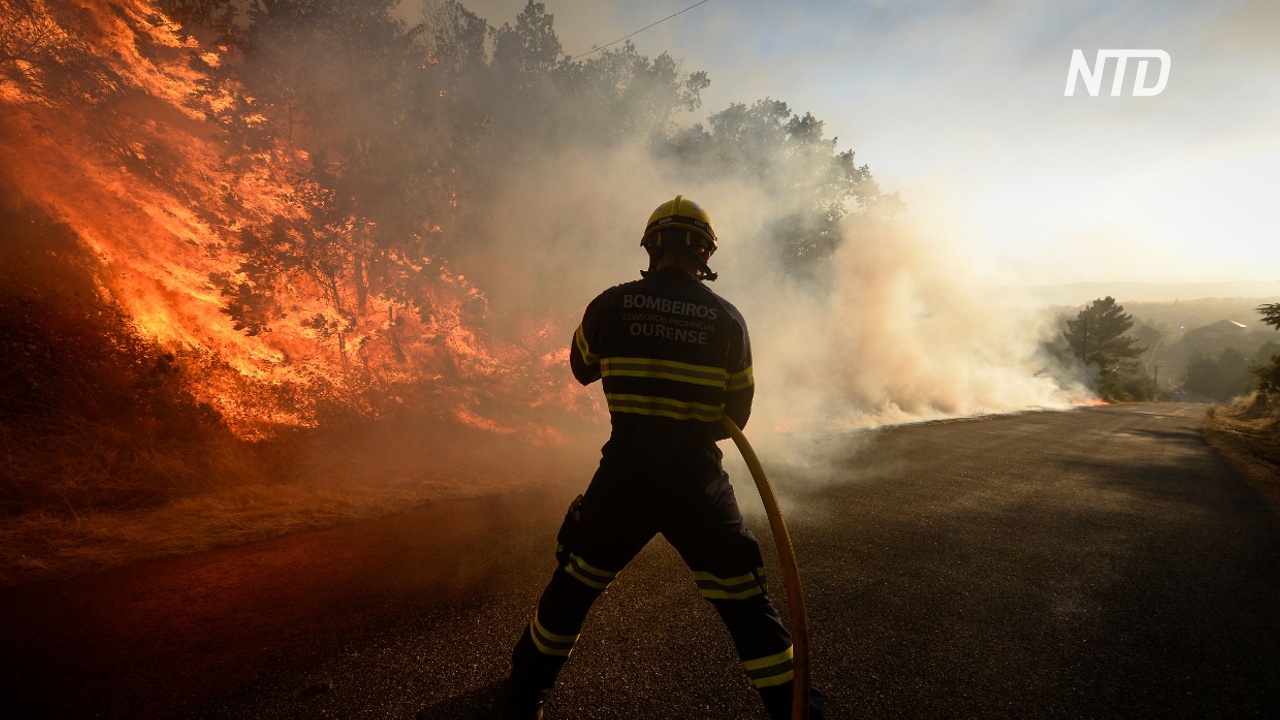 Под Мадридом полыхает лесной пожар