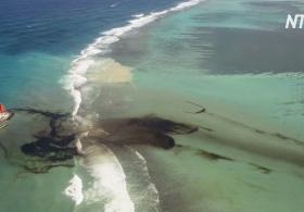 Маврикийцы ликвидируют последствия разлива нефти с японского танкера