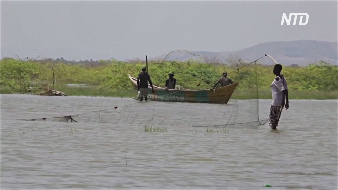 Кенийцы обвиняют Эфиопию в том, что крупнейшее пустынное озеро мира лишилось рыбы