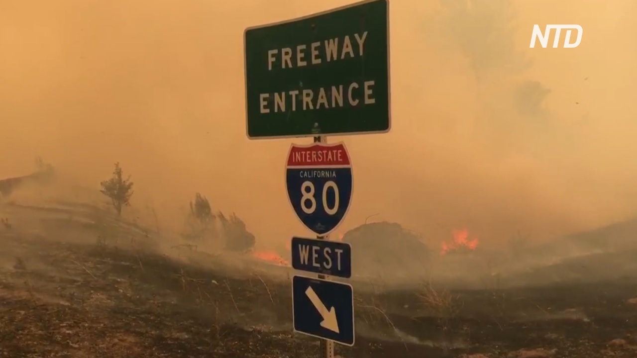 Небывалые пожары в Калифорнии начались из-за молний