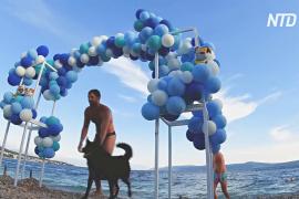 Триатлон для собак и их хозяев устроили на пляже в Хорватии