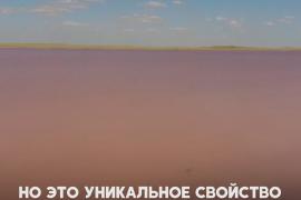 Розовое озеро Кобейтуз в Казахстане перекопали в поисках «лечебной» соли