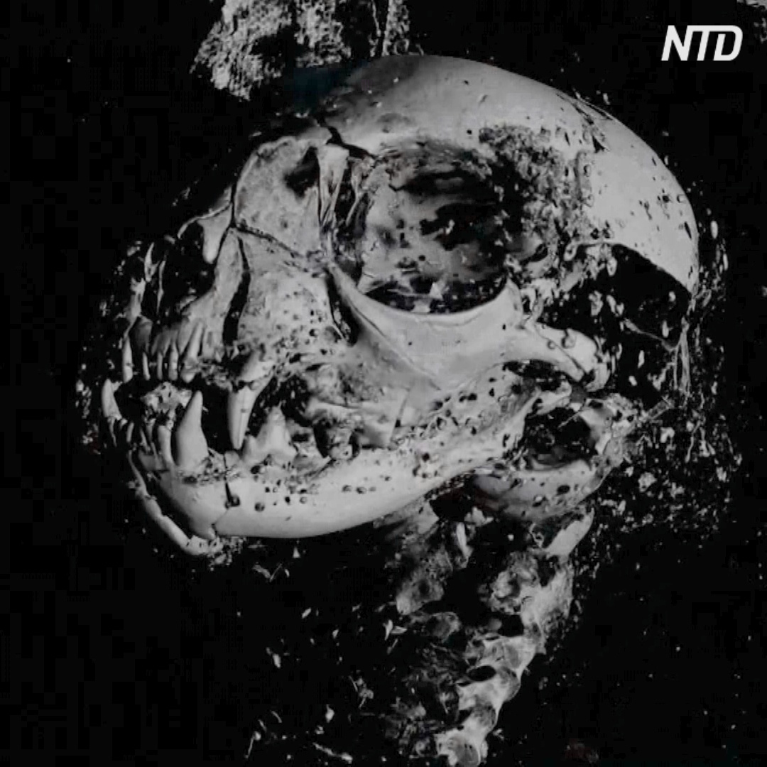 Заглянуть внутрь древнеегипетских мумий смогли благодаря 3D-технологиям