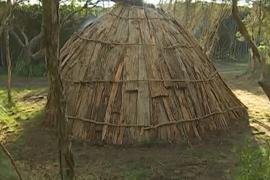 В Тасмании воссоздают шалаши аборигенов