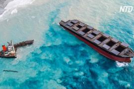 У Маврикия столкнулись буксир и баржа, доставлявшая нефть с японского танкера