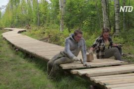 К месту легендарной посадки «Восхода-2» в Пермском лесу проложили мостки