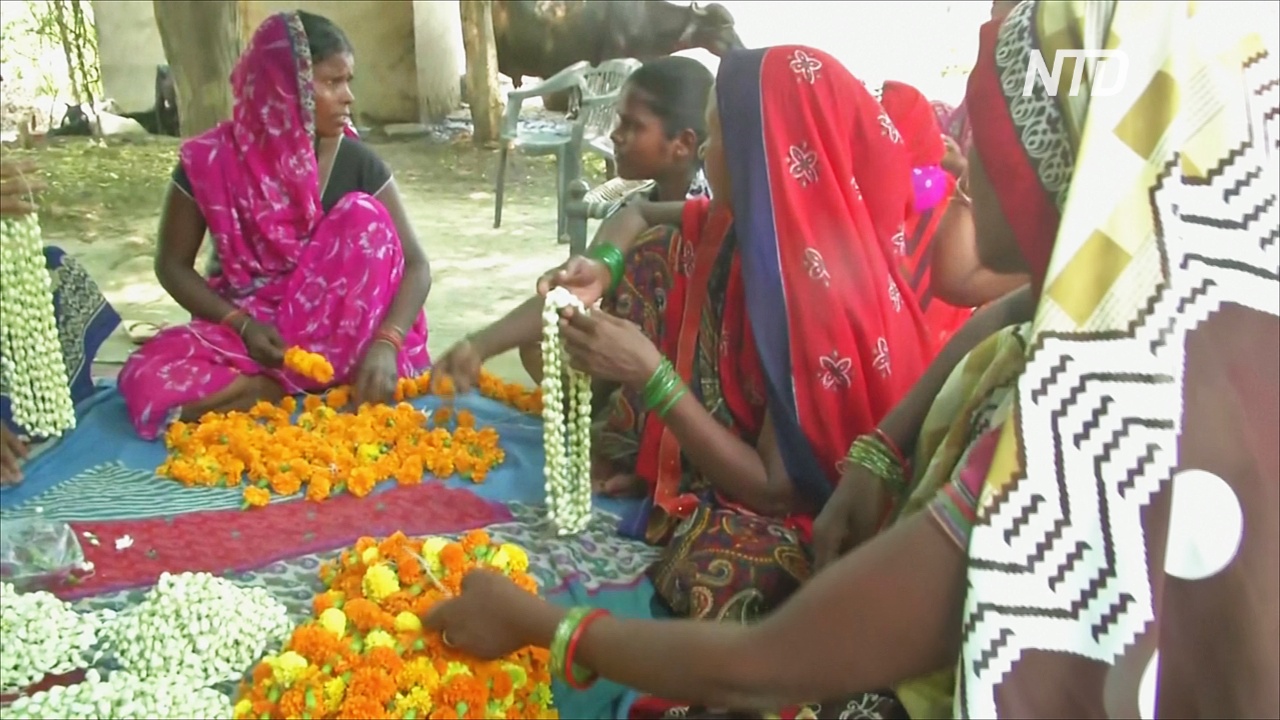 Индийским женщинам приходится в одиночку кормить семьи во время карантина