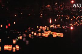 В петербургском саду зажгли водные фонарики