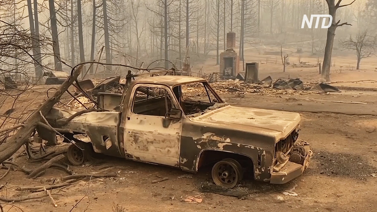 Лесные пожары в Калифорнии выжгли территорию в 9000 кв. км
