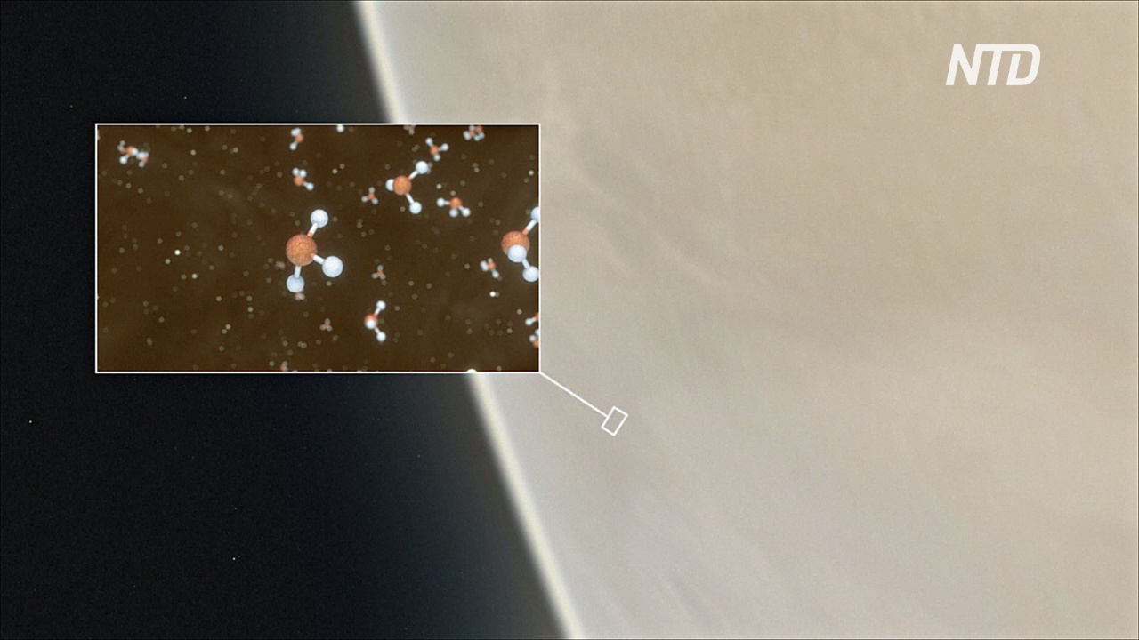 На Венере нашли газ, который указывает на возможное наличие внеземной жизни