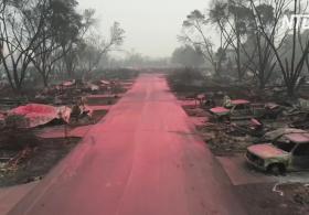 Лесные пожары в США: 35 погибших
