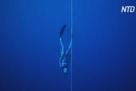 Французский фридайвер опустился под воду на рекордные 112 метров