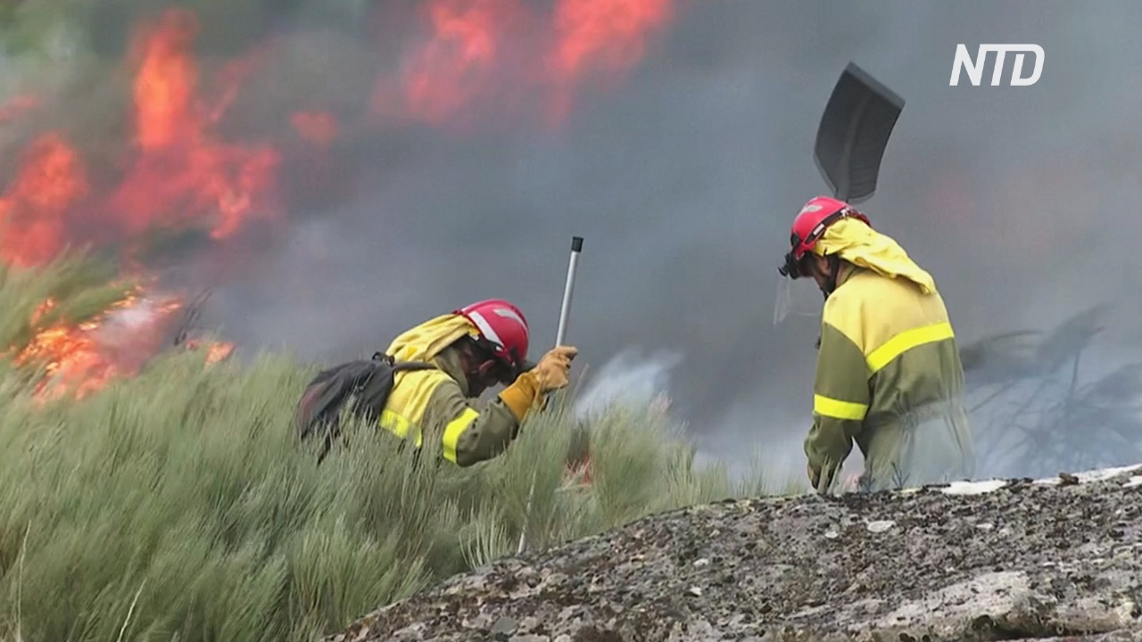 В Галисии полыхают лесные пожары