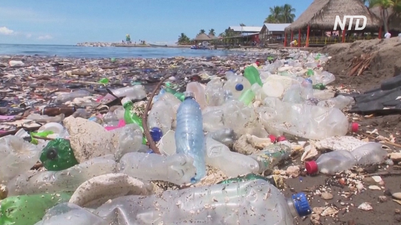 Цунами из мусора обрушилось на пляж в Гондурасе
