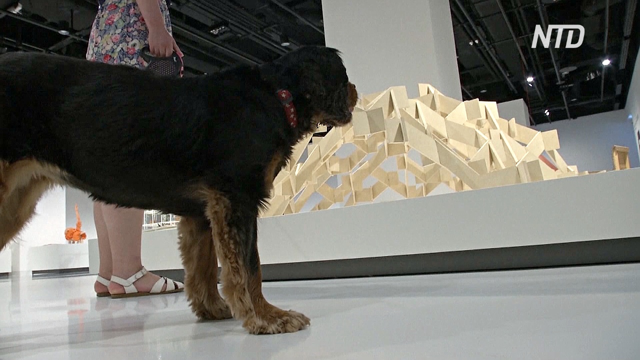 Архитектуру для собак показали на выставке в Лондоне