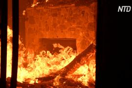 В Аргентине лесные пожары угрожают жилым домам