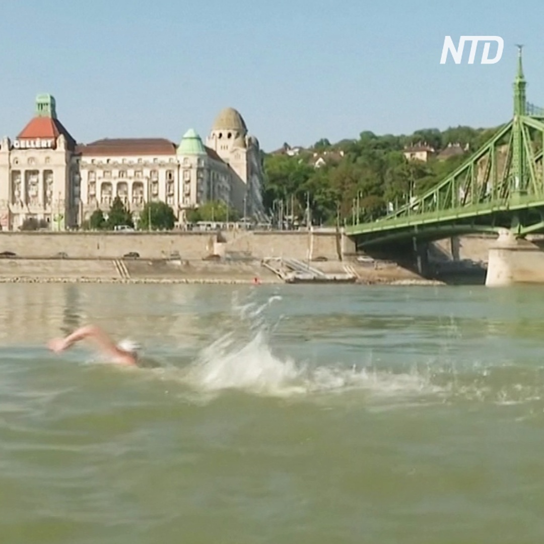 Через быстрый Дунай: заплыв на 700 человек